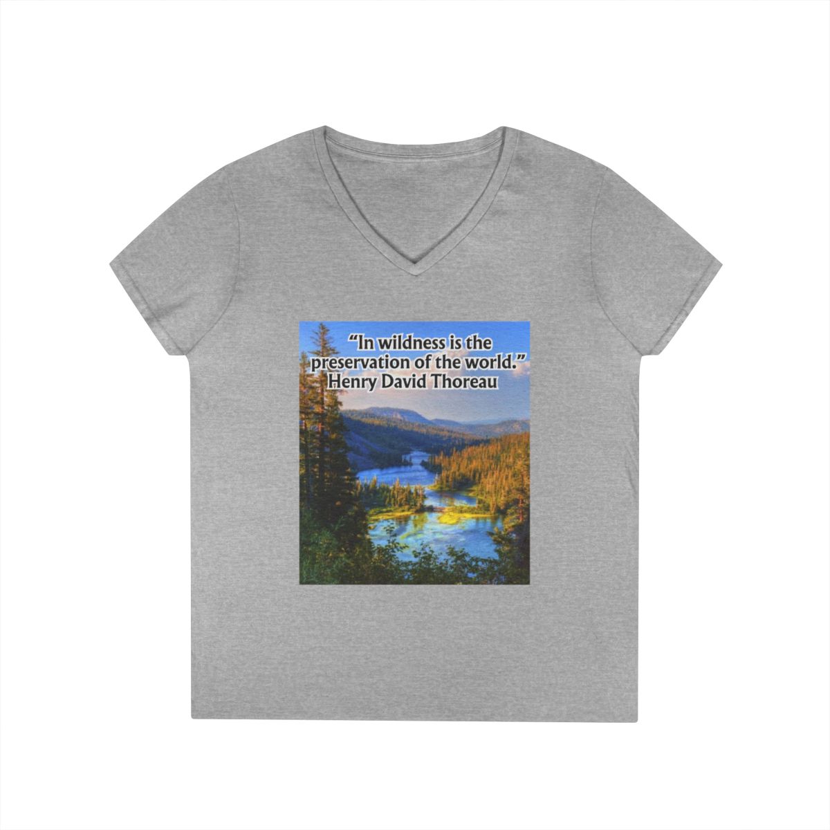 Ladies' V-Neck T-Shirt