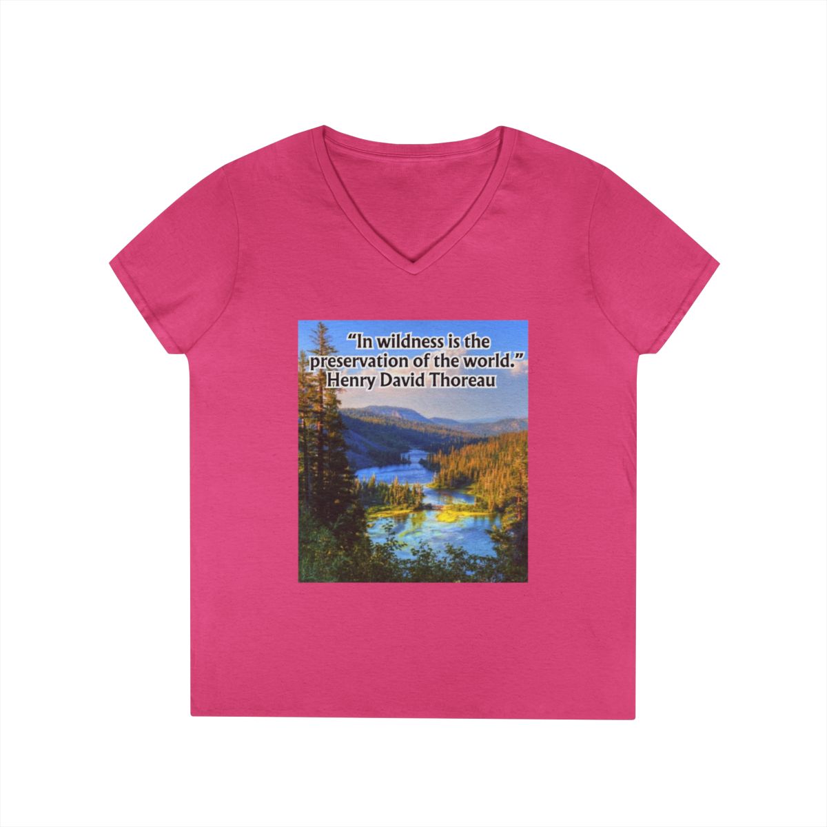 Ladies' V-Neck T-Shirt