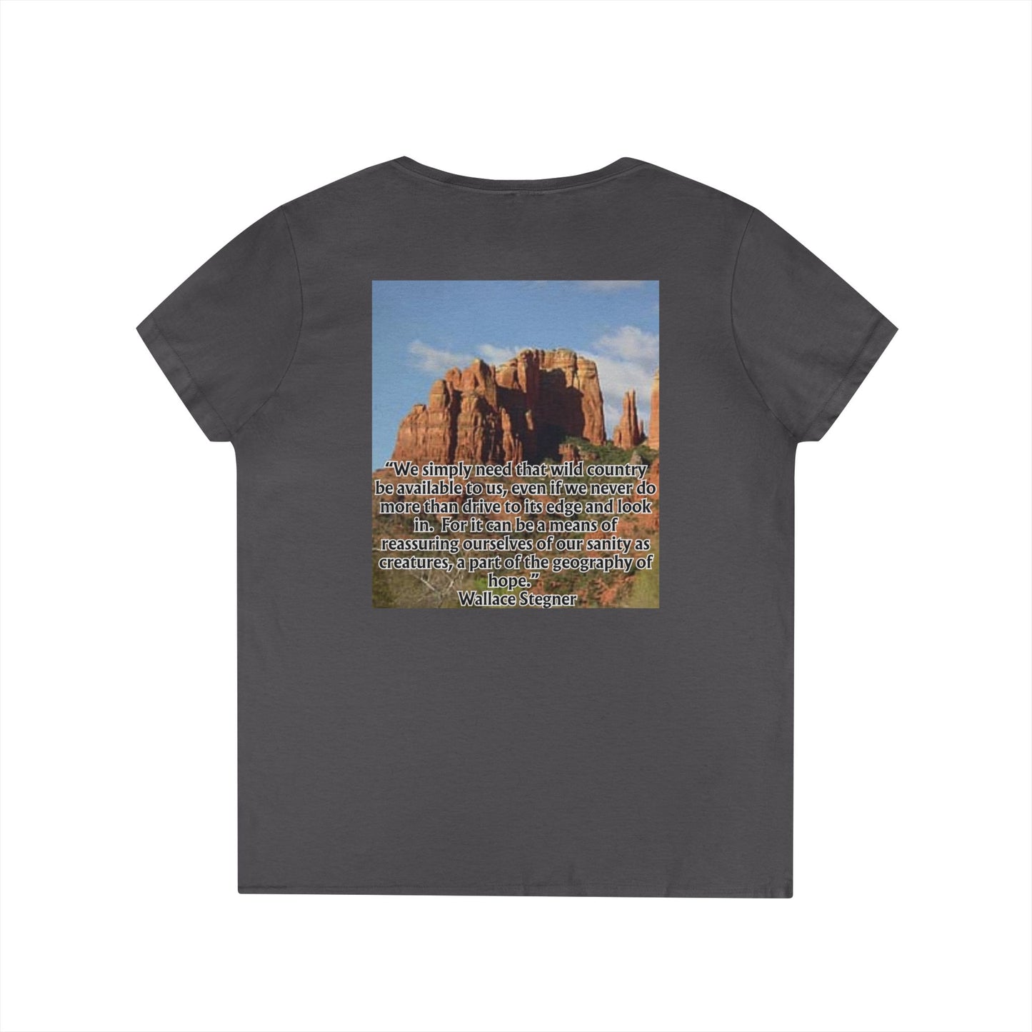 Ladies' V-Neck T-Shirt
