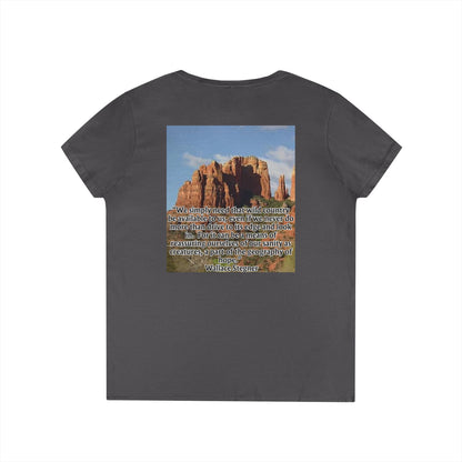 Ladies' V-Neck T-Shirt