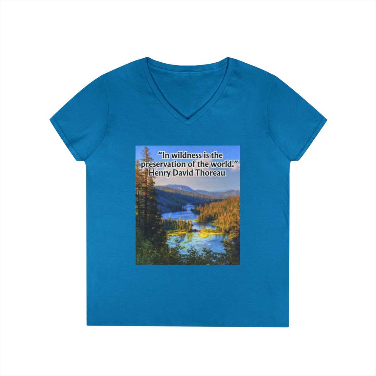 Ladies' V-Neck T-Shirt
