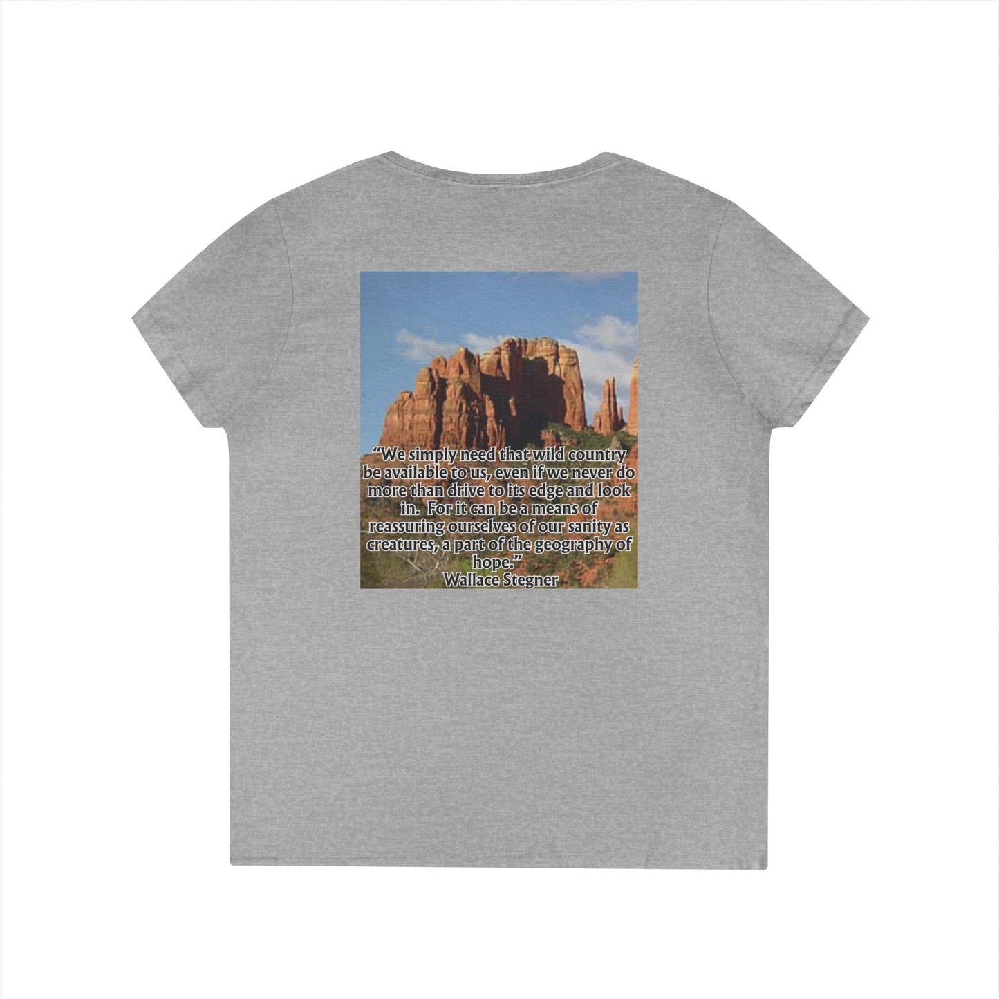 Ladies' V-Neck T-Shirt