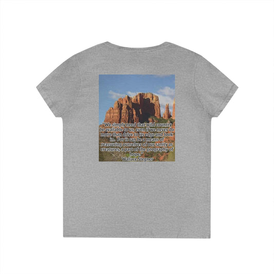 Ladies' V-Neck T-Shirt