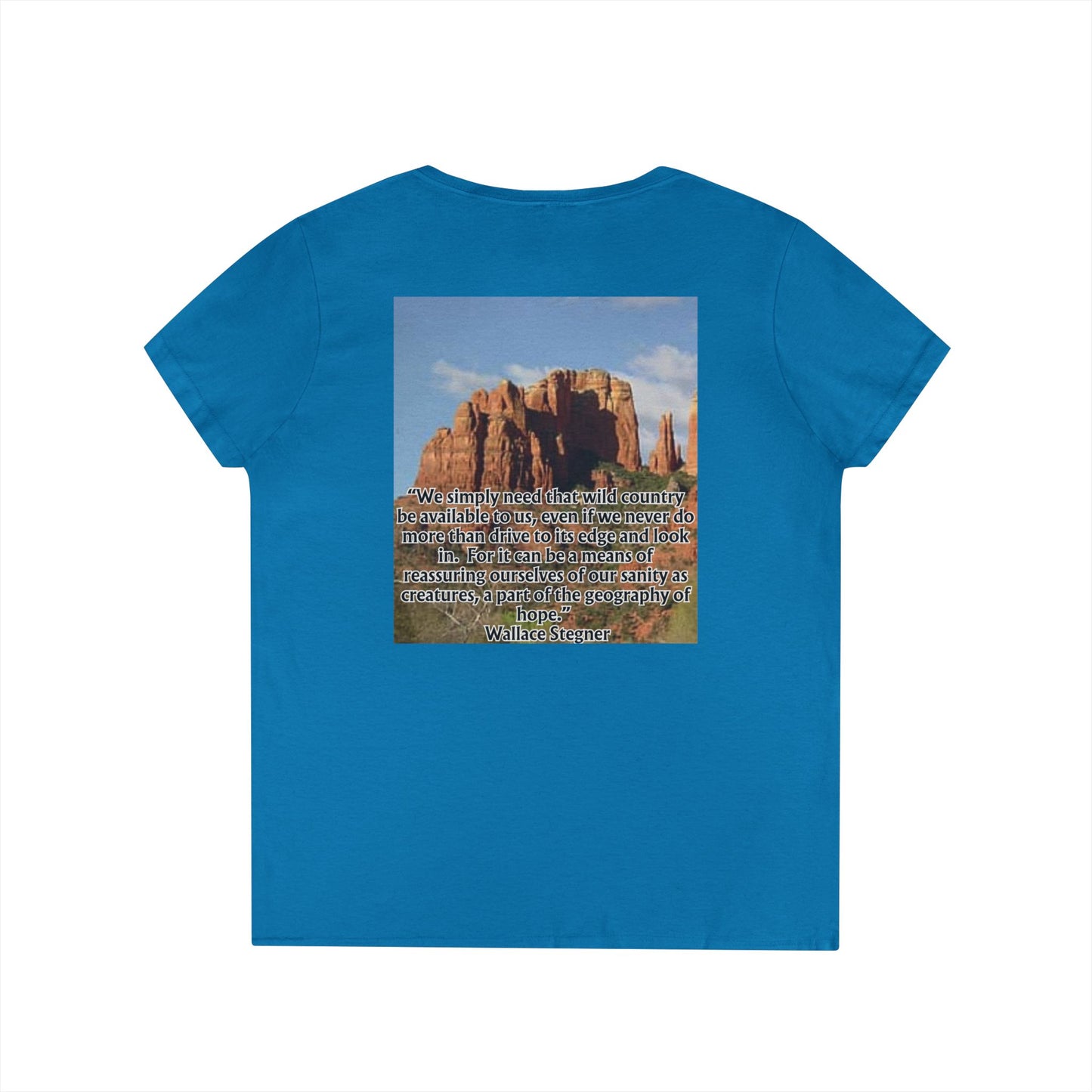Ladies' V-Neck T-Shirt