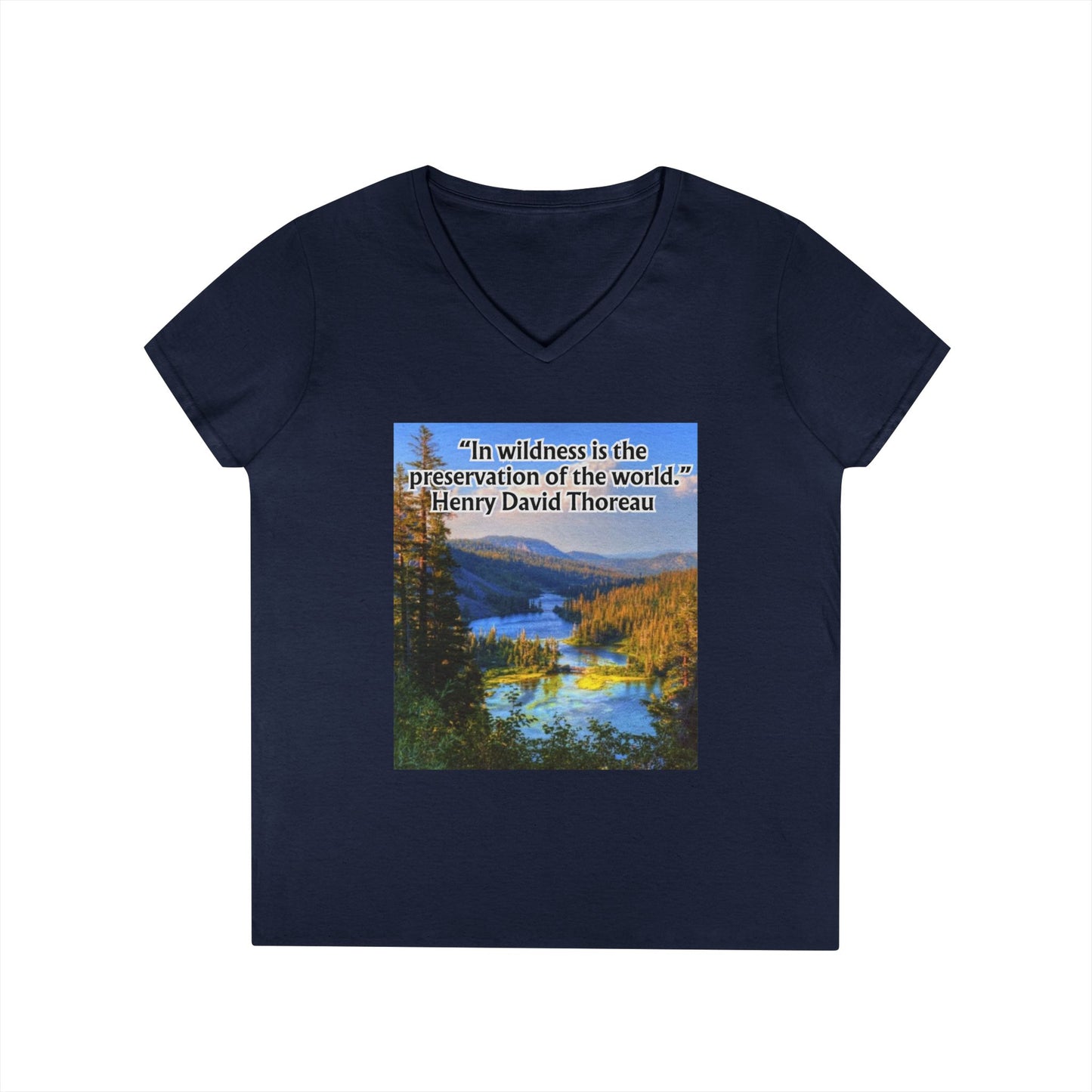 Ladies' V-Neck T-Shirt