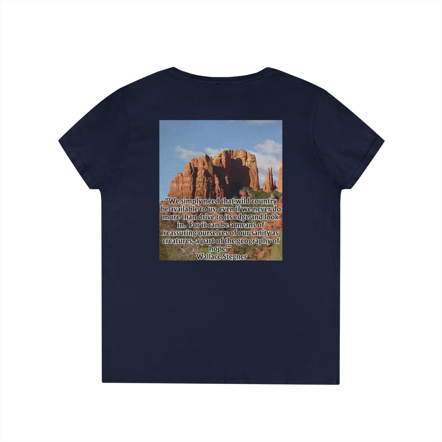 Ladies' V-Neck T-Shirt