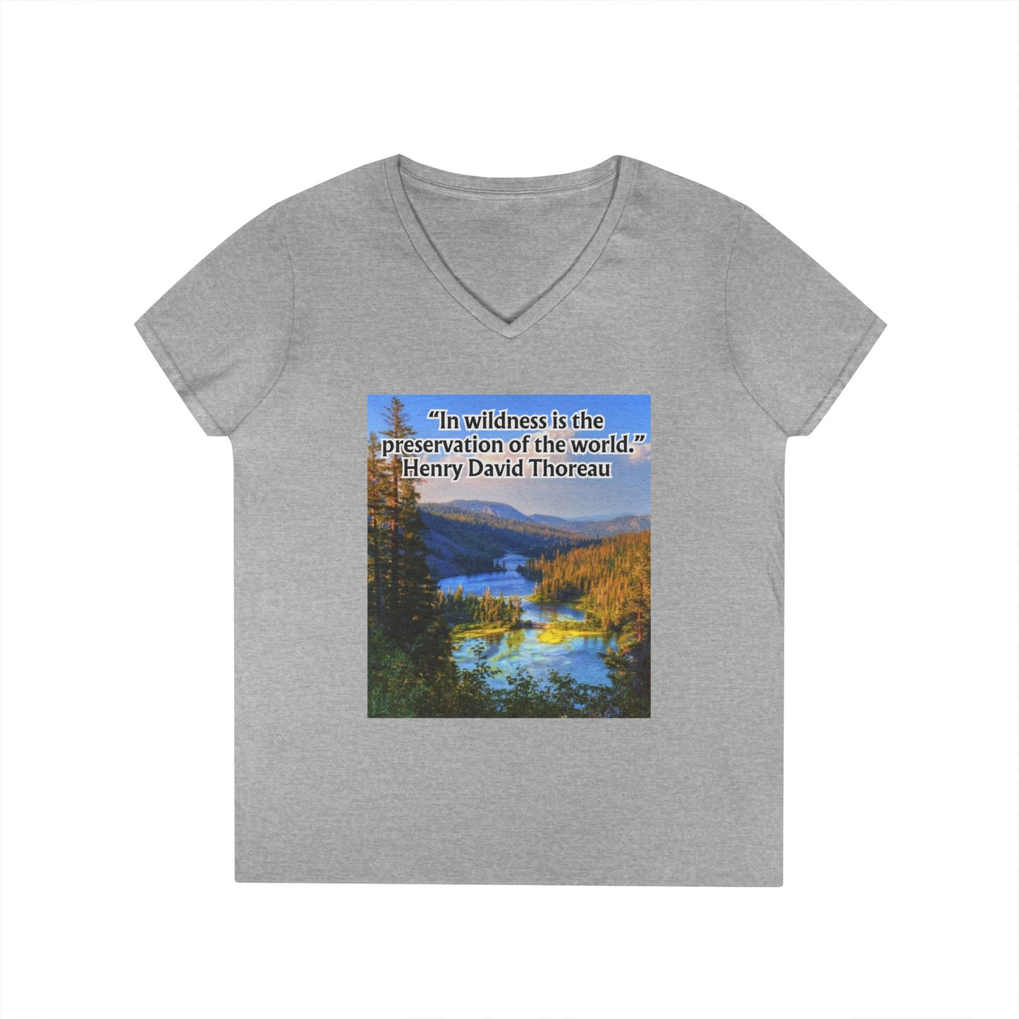 Ladies' V-Neck T-Shirt