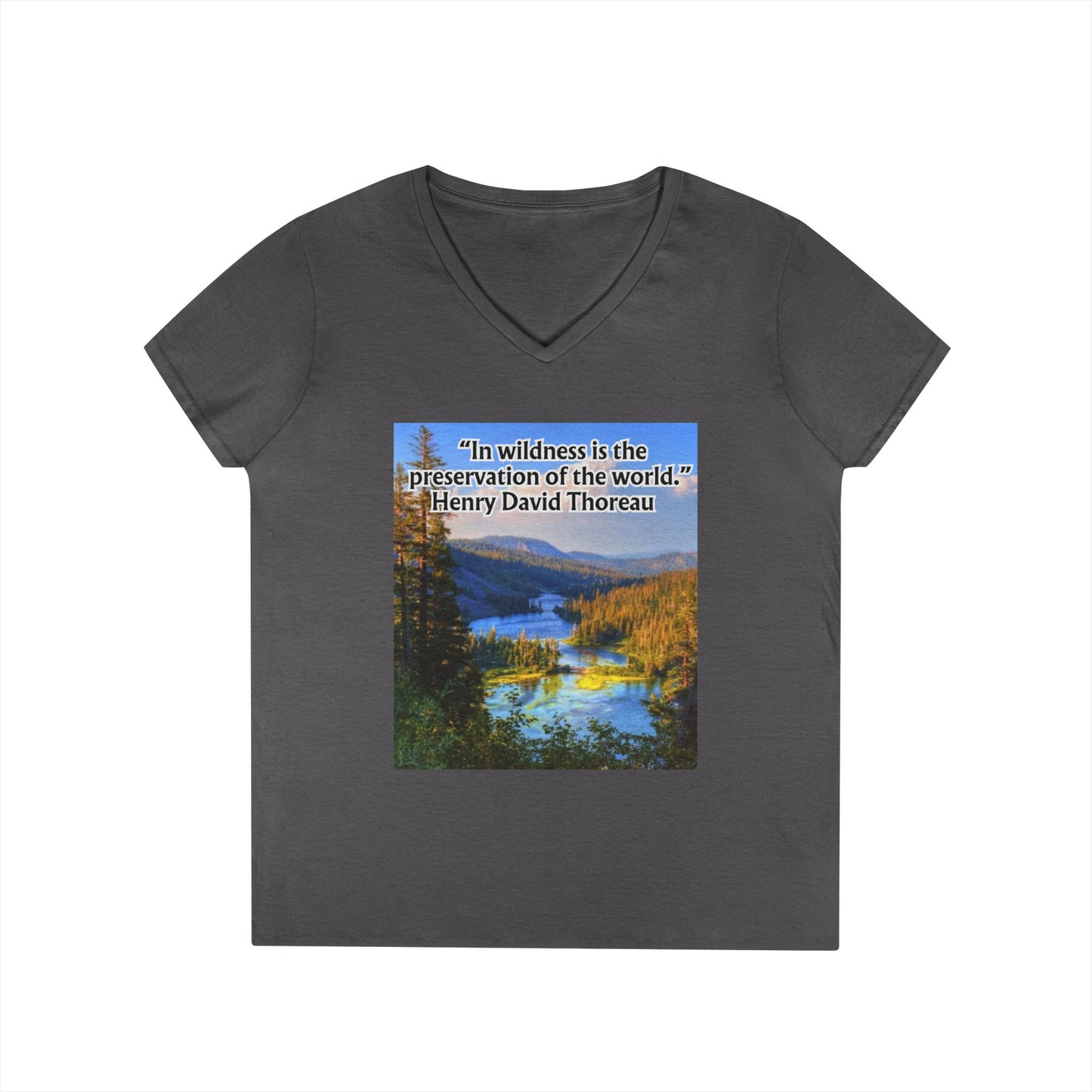 Ladies' V-Neck T-Shirt